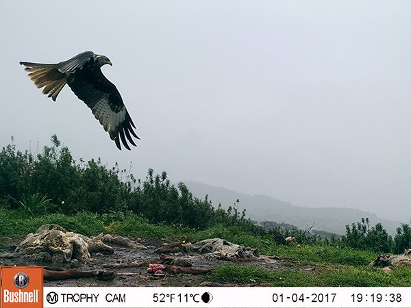 M2E159A1L216-386.2430114-386.2430114