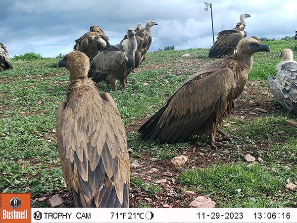 M2E163A1L220-187.4629974-187.4629974