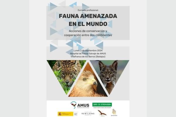 Fauna amenazada en el mundo