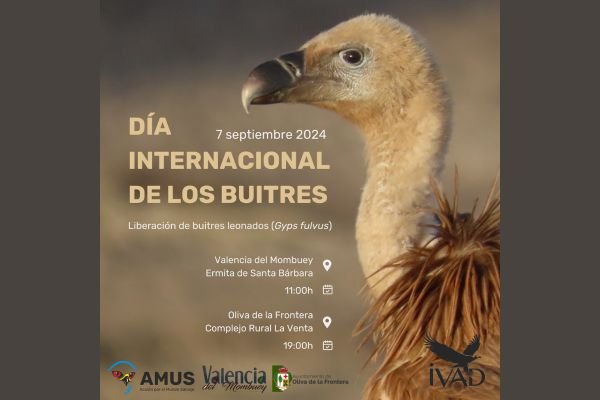 Día internacional de los buitres