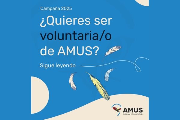 Campaña de voluntariado 2025