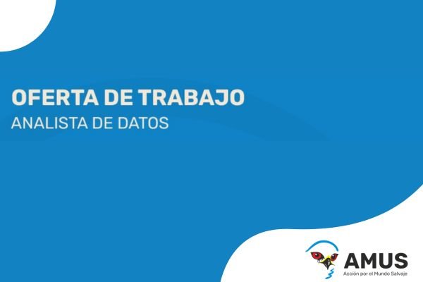 Oferta de empleo: analista de datos.