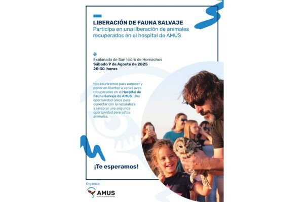 Próxima liberación…¡te esperamos!