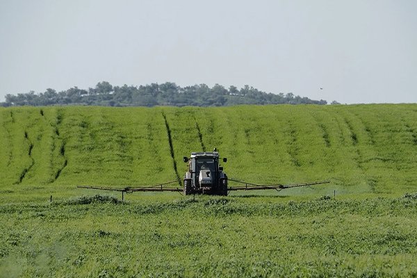 Acciones de conservación para sostener las poblaciones ibéricas de Aguilucho cenizo