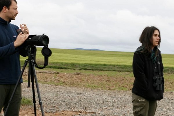 Comienza la campaña del Aguilucho cenizo 2025