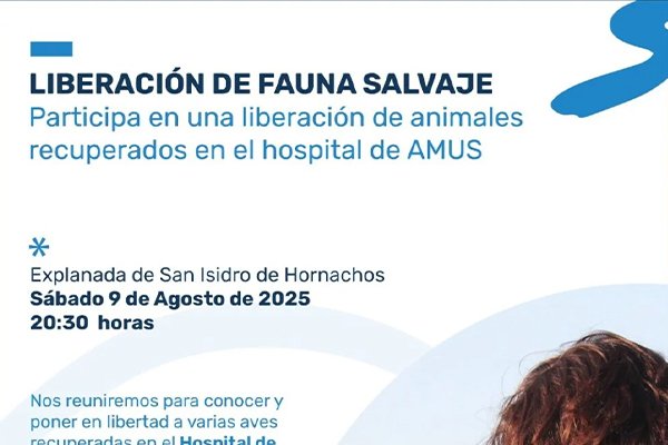 Próxima liberación