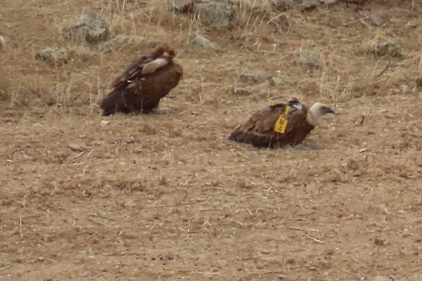 ¡Las marcas cuentan historias!