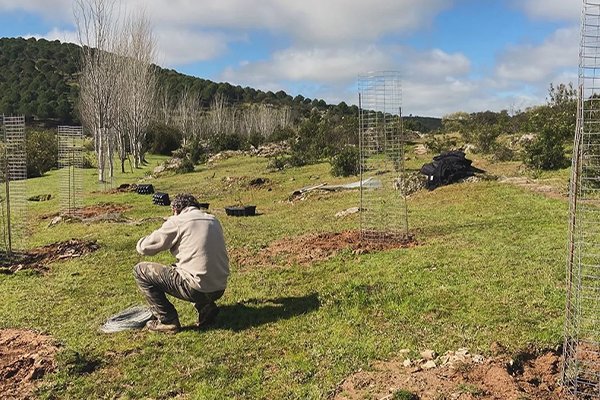 Continuamos con la regeneración de bosques