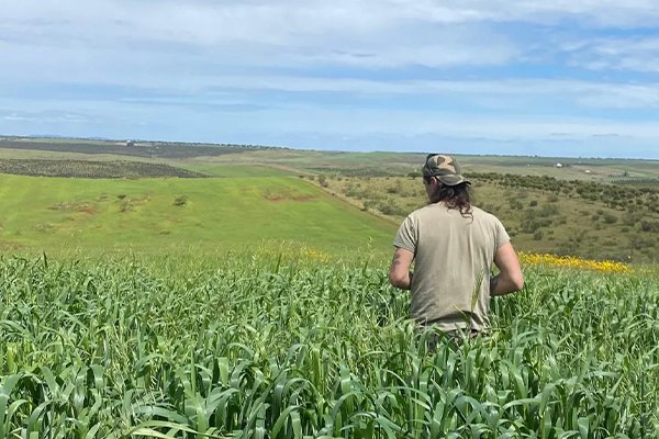 Seguimiento y monitoreo