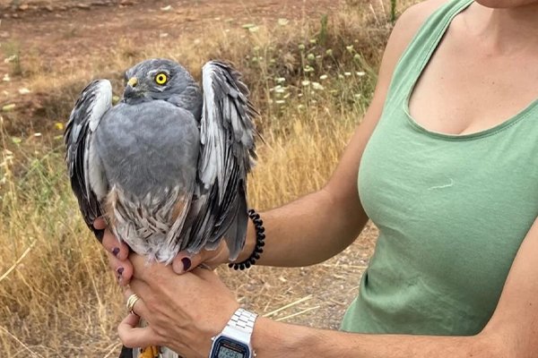 Cuando el verano empieza a irse