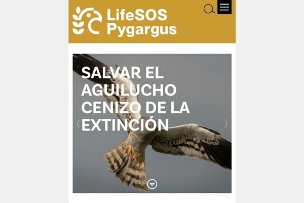 Ya está disponible la web del proyecto LIFE SOS Pygargus