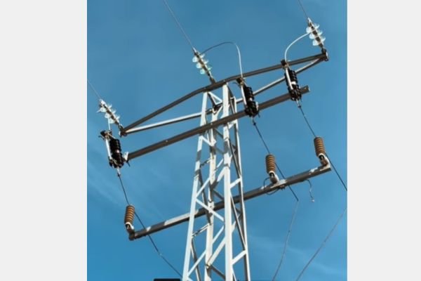 Miles de aves mueren electrocutadas.