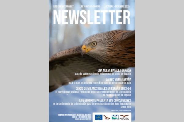 Newsletter LIFE Eurokite octubre-diciembre 2025