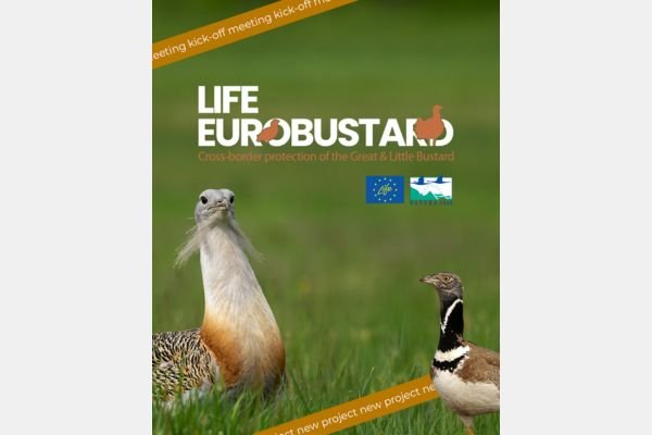 ¡Nuevo proyecto!: LIFE EUROBUSTARD