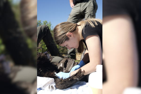 ¡Hoy toca trabajo de campo!