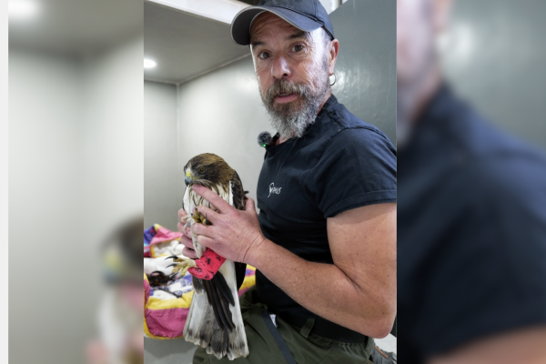 A veces, sobrevivir no es suficiente.